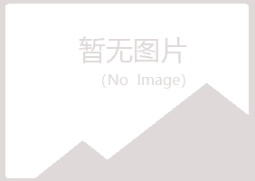 铁岭县凝天建设有限公司